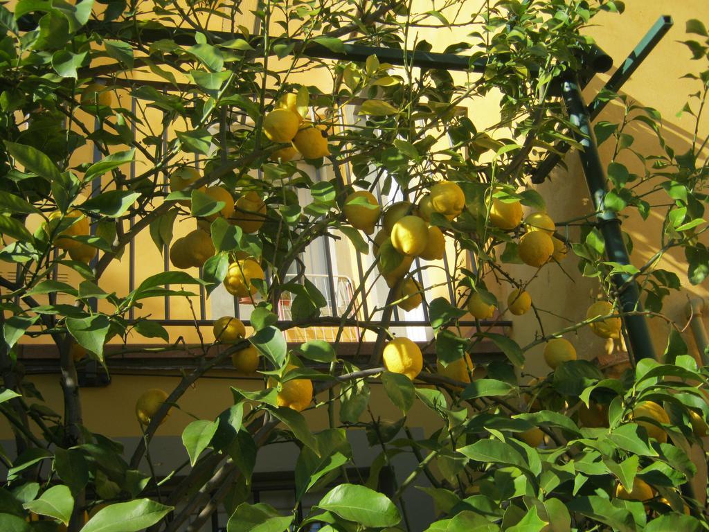 Holiday Home Il Borgo Degli Agrumi Uzzano Exterior photo