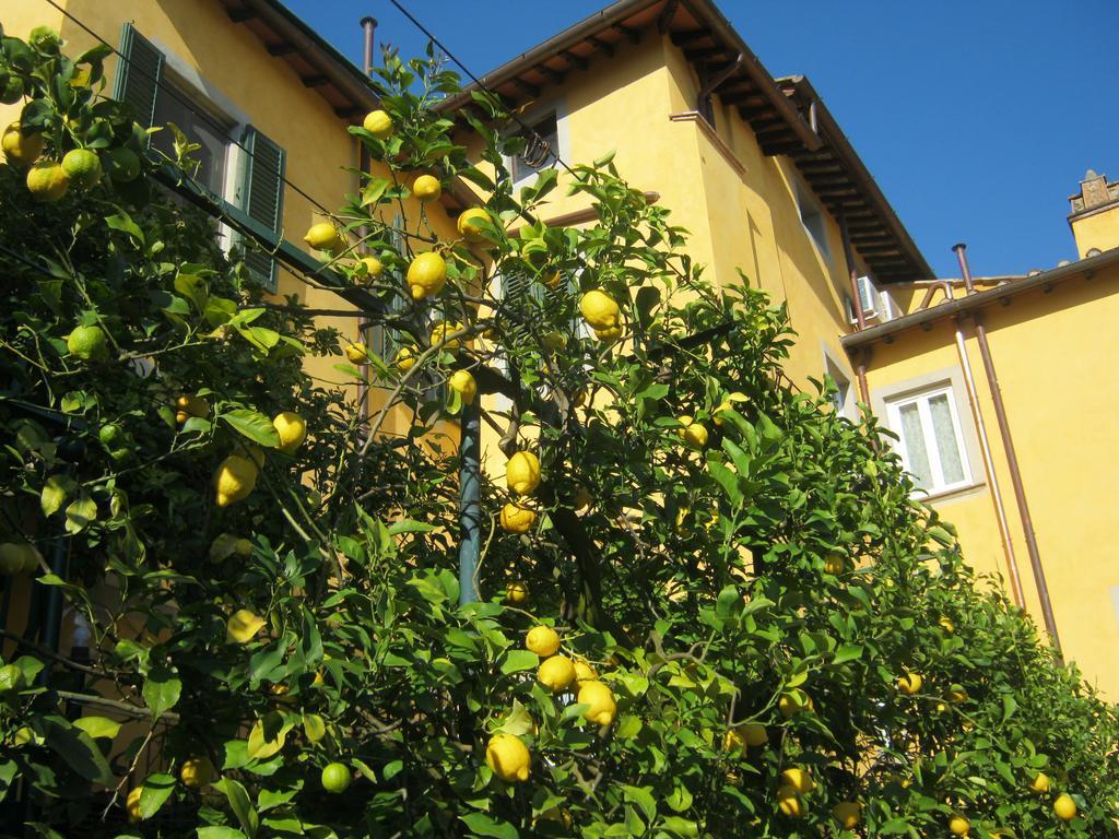 Holiday Home Il Borgo Degli Agrumi Uzzano Exterior photo